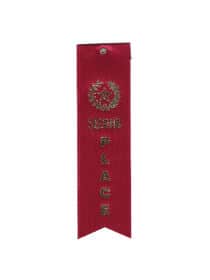 2nd Place Value Ribbon
