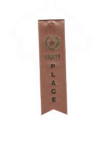 8th Place Value Ribbon