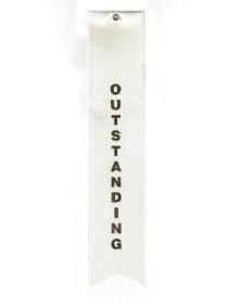 Outstanding Value Ribbon