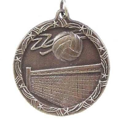 Economy Volleyball Medal