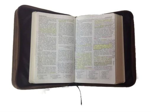 LDS foreign Language Scriptures