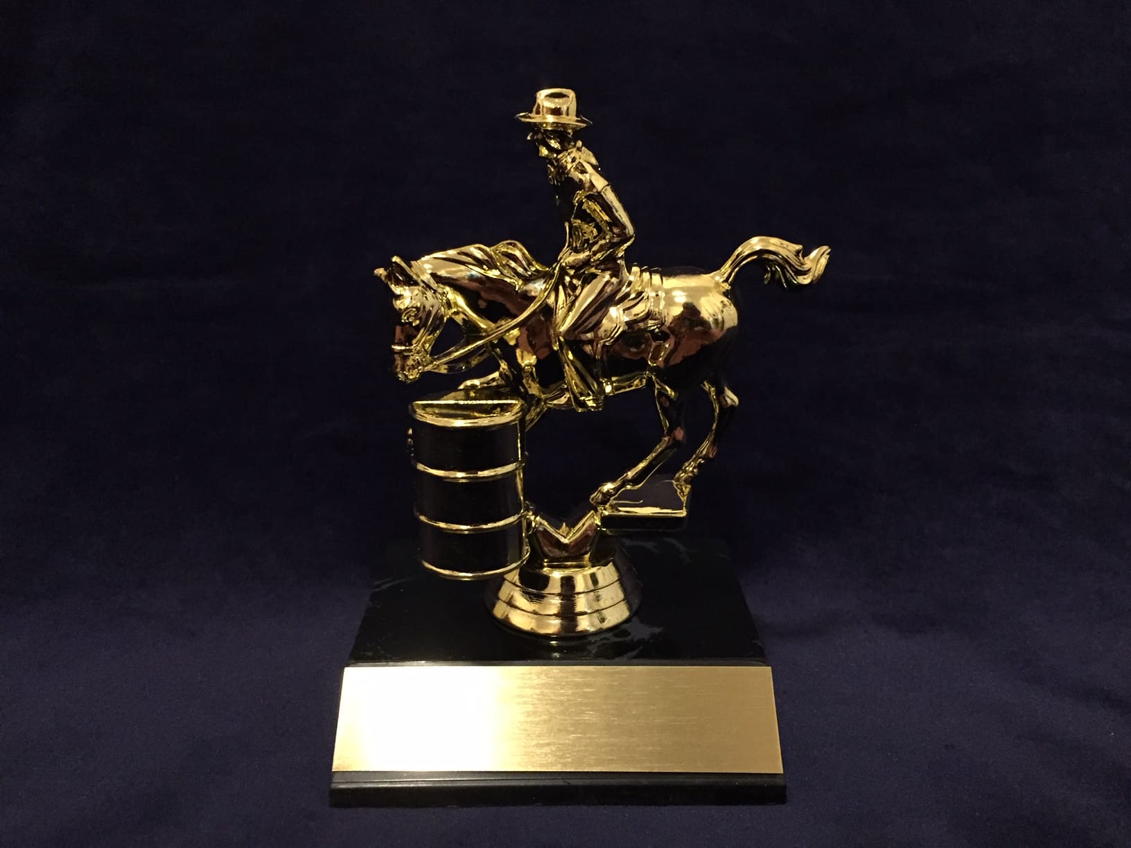 Barrel Racer ubicaciondepersonas.cdmx.gob.mx