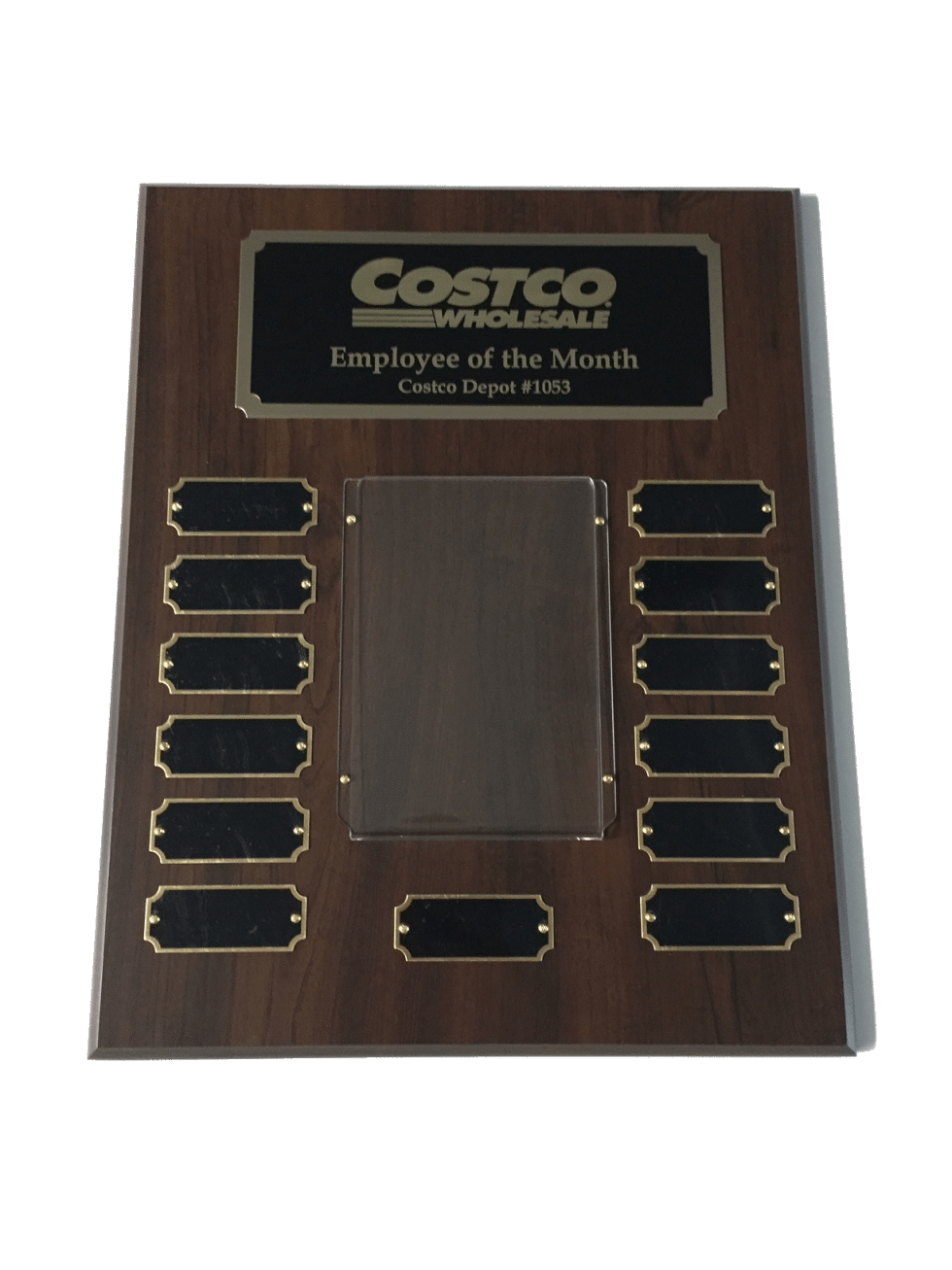 Employee of the Month Plaques & Awards Gem Awards