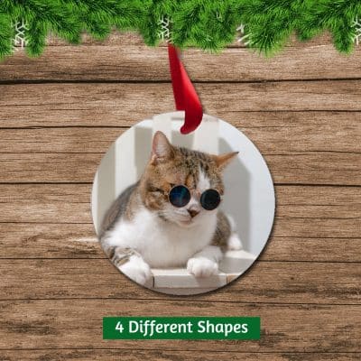 Circle Pet Cat Photo Ornament