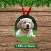 Oval Dog Christmas Ornament