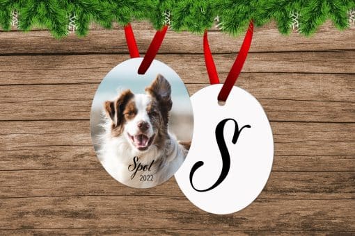 Oval Pet Photo Ornament