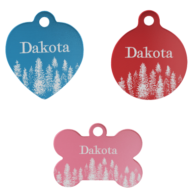 Outdoor Pet Tags