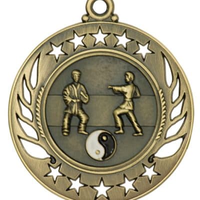 Gold Martial Arts Medal