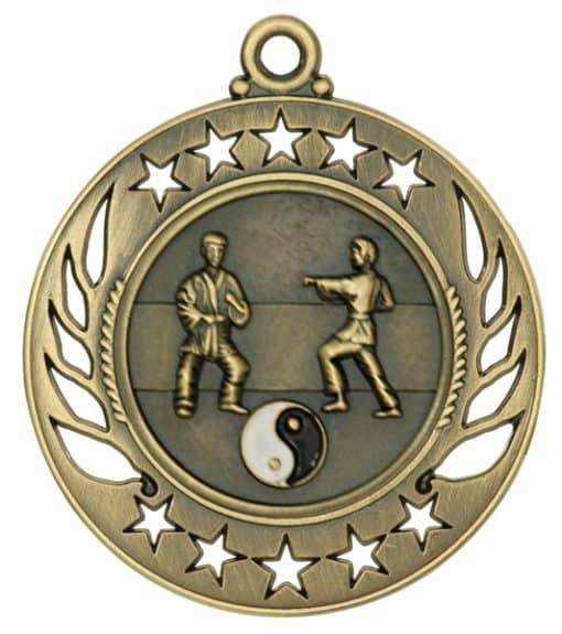 Gold Martial Arts Medal