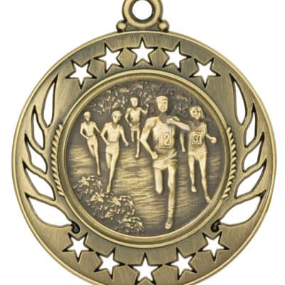 Gold Cross Country Medal