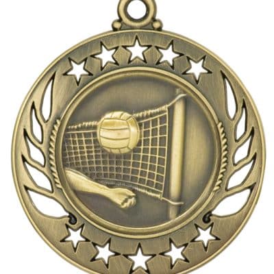 Gold Volleyball Medal