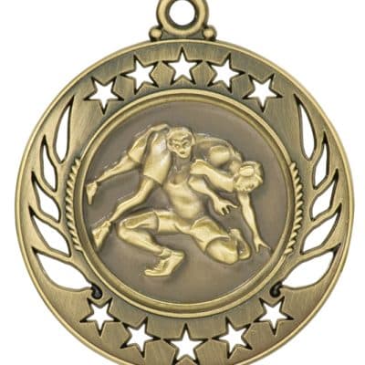 Gold Wrestling Medal