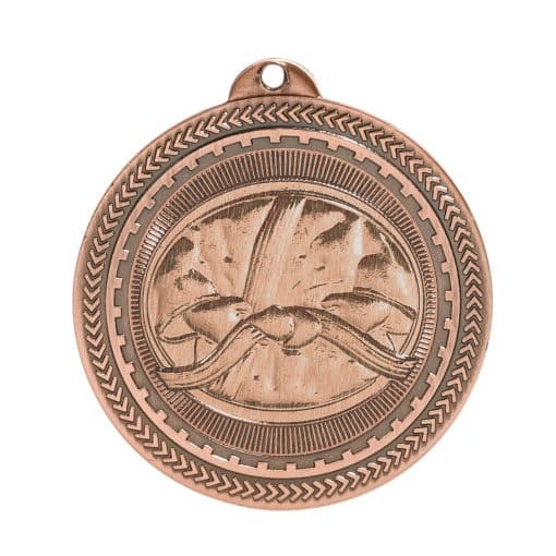 Bronze Martial Arts Medal