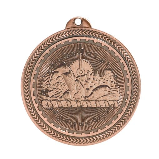 Bronze Swimming Medal
