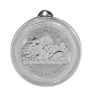 Silver Swimming Medal