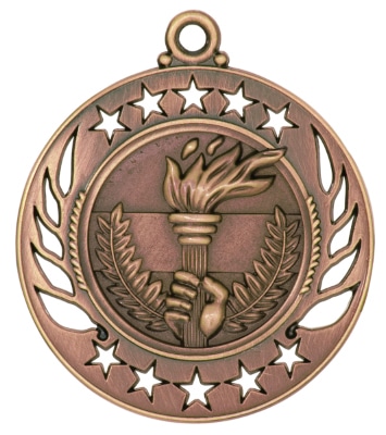 Bronze Victory Medal
