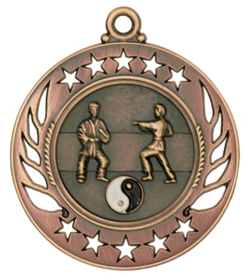 Bronze Martial Arts Medal