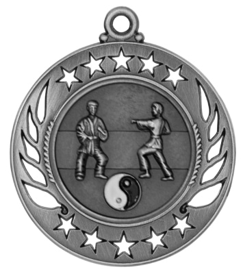 Silver Martial Arts Medal