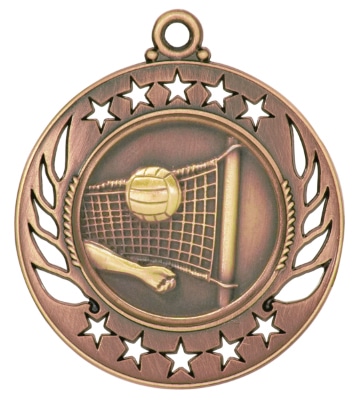 Bronze Volleyball Medal