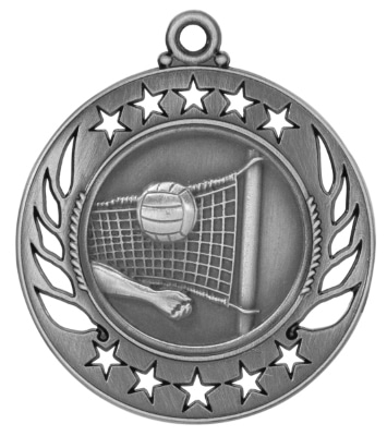Silver Volleyball Medal