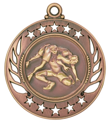 Bronze Wrestling Medal